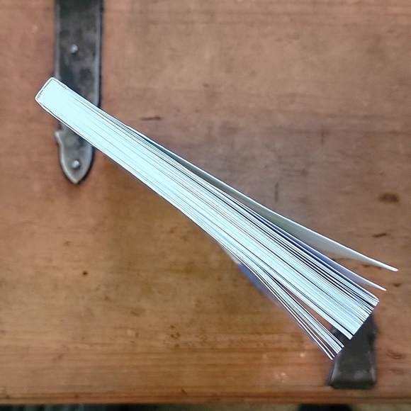 BOOK. Big Nate... what's a little noogie between friends? - Picture 4 of 4